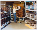 Stereo production, 1981